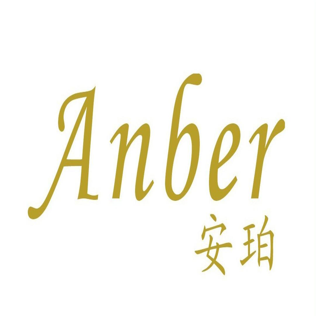 安珀LOGO 安珀LOGO