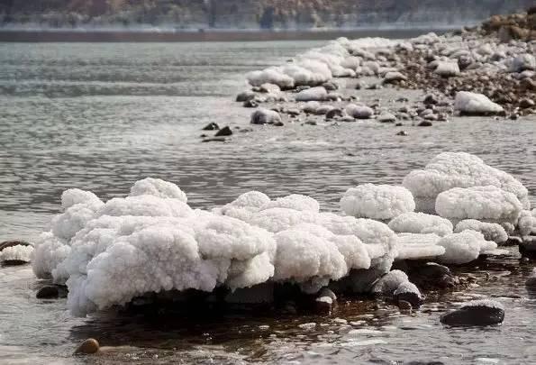 死海 快懂百科