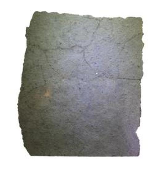 燕子石[三叶虫化石] - 抖音百科