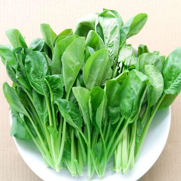 小松菜 快懂百科