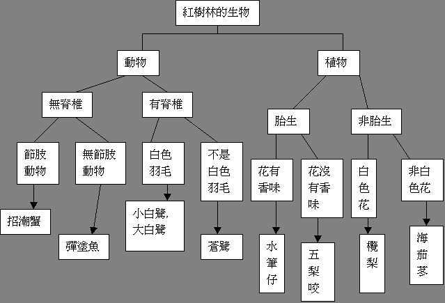 植物检索表 快懂百科