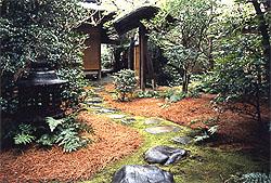 武者小路千家流 快懂百科