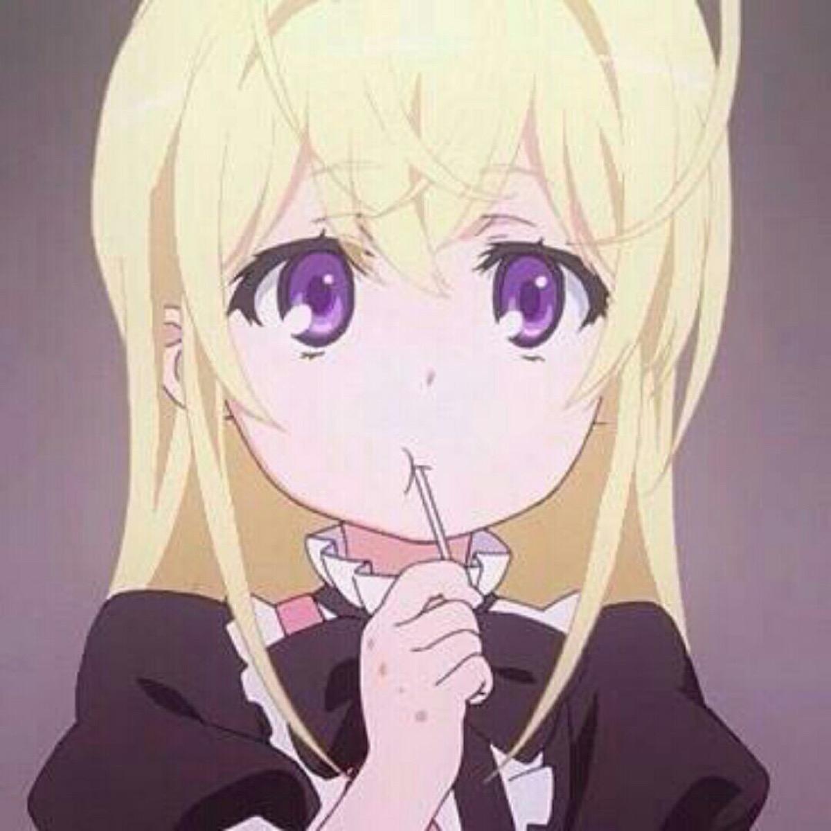 菲布理 快懂百科