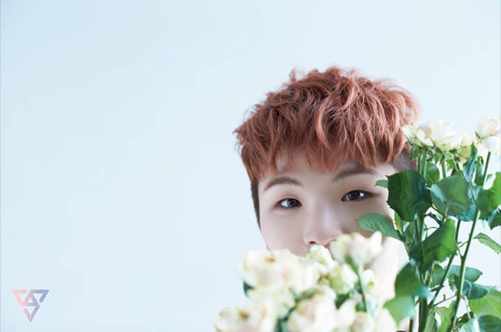 Seventeen 快懂百科