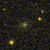 IC 2594 - 快懂百科