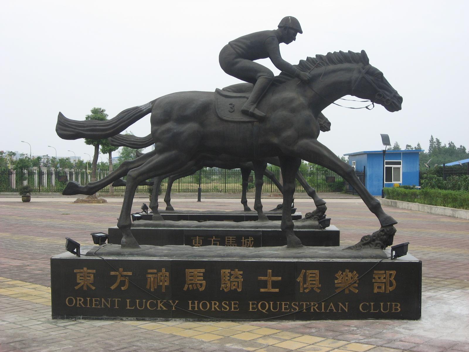 【专访】东方马城胡俊：武汉汇集了整个中国最好的马匹！_1赛马网_第一赛马网