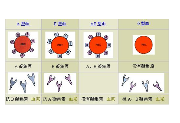 输血原则 快懂百科