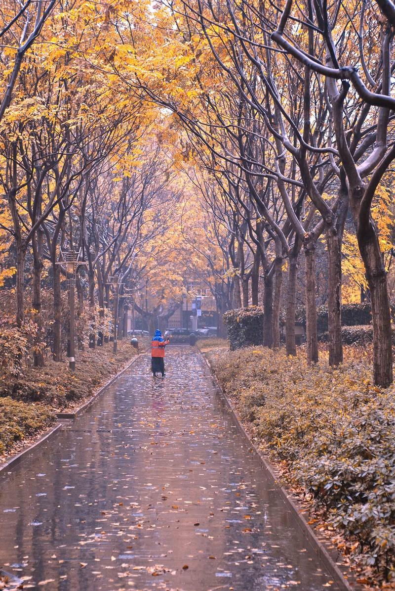 秋雨 快懂百科