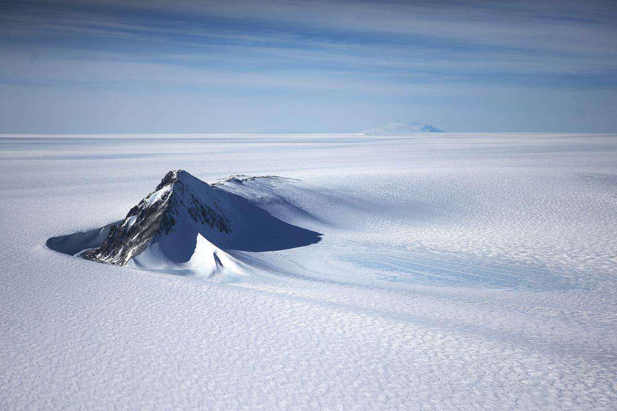 Adélie penguins diving off an iceberg in Antarctica (© Mike Hill/Getty ...