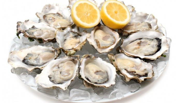 牡蛎科 - 头条百科