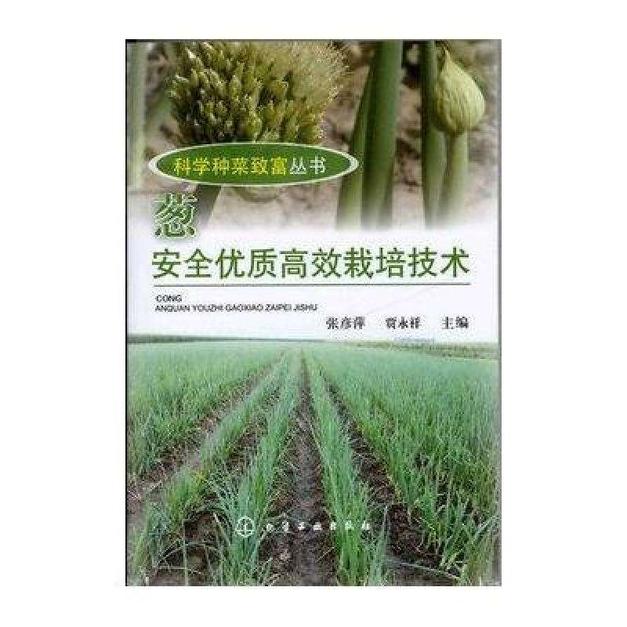 葱安全优质高效栽培技术 葱安全优质高效栽培技术 头条百科