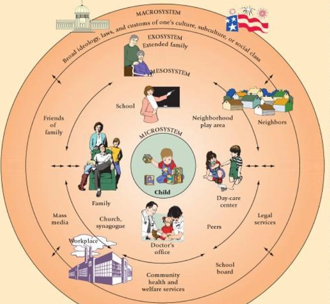 生态系统理论 - 快懂百科