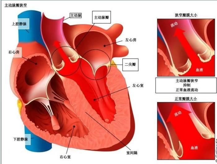 心腔 - 快懂百科