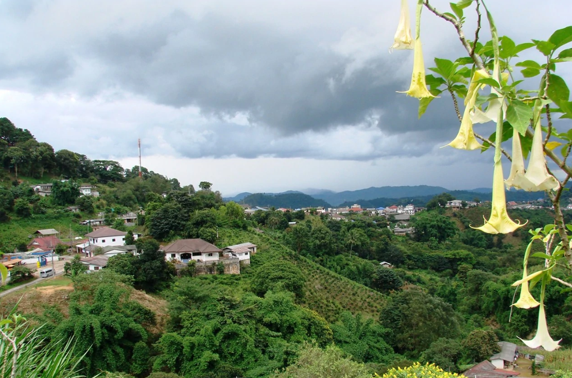 美斯乐 快懂百科