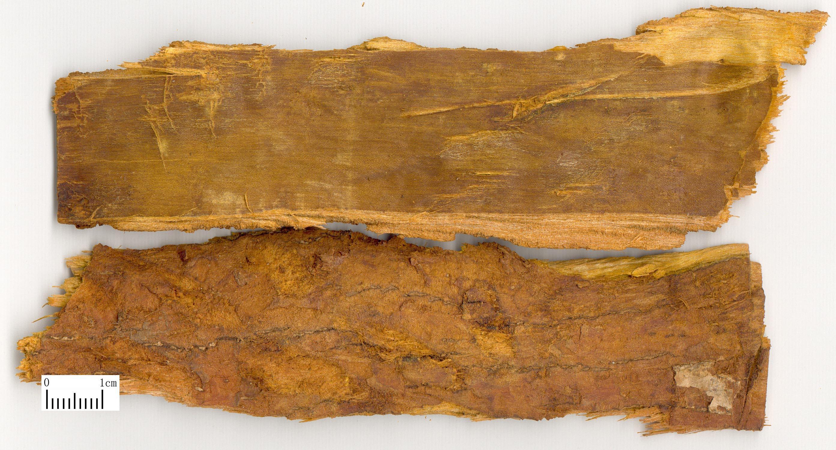 胡黄连[胡黄连]