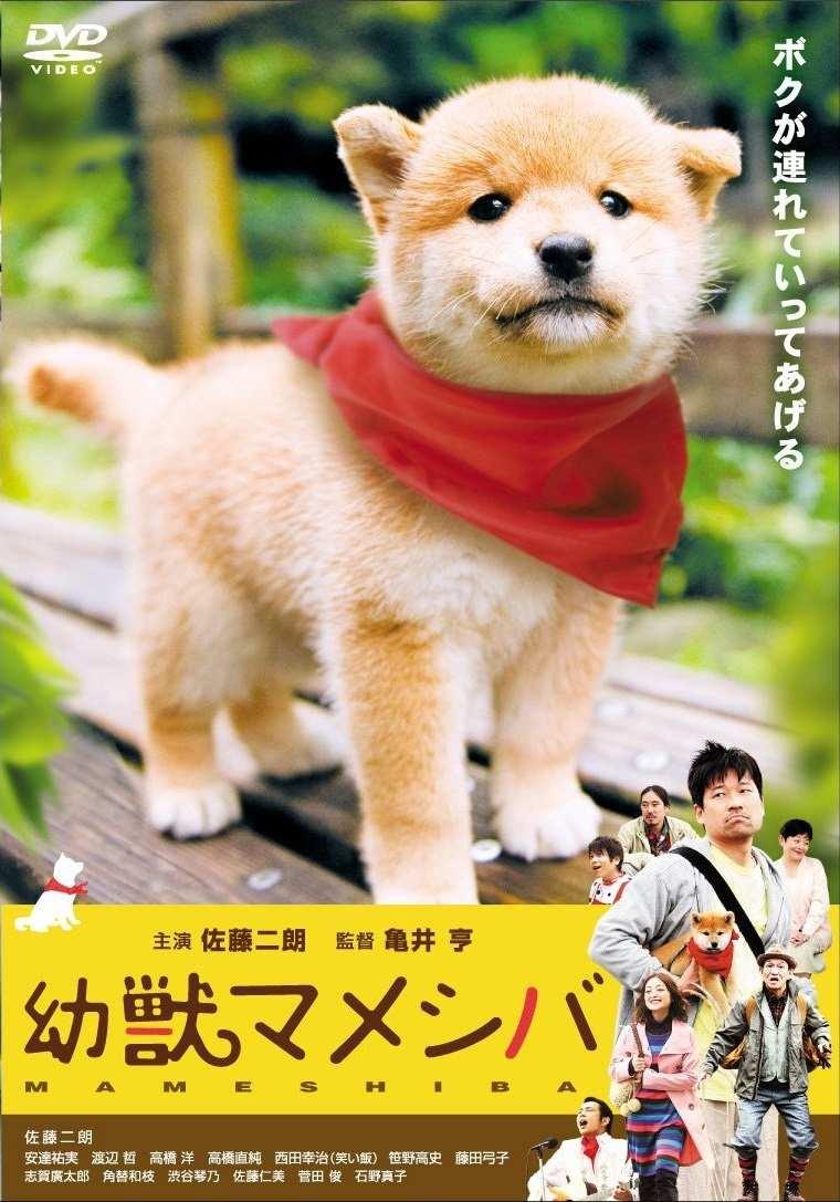 佐藤仁美 快懂百科