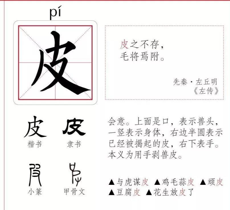 皮 快懂百科