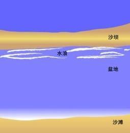 离岸流 快懂百科