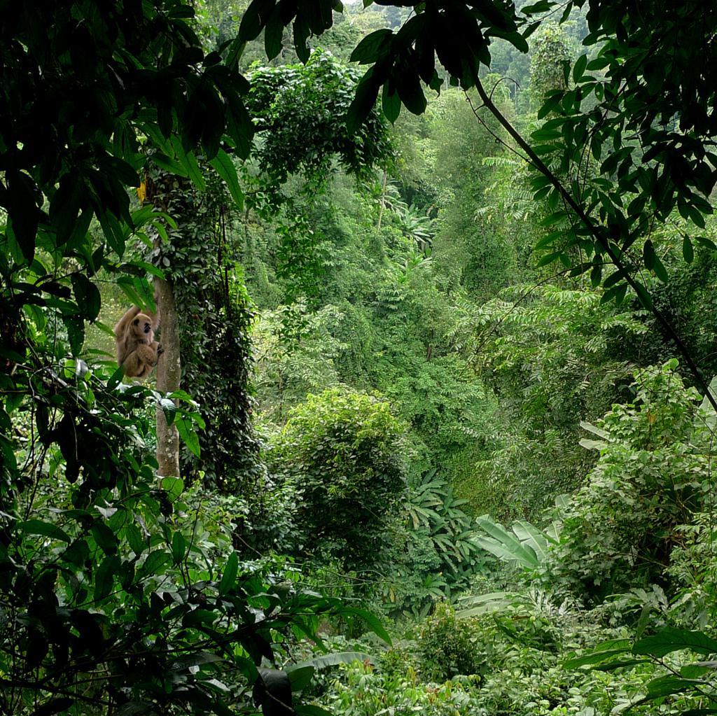 亚马逊雨林十大恐怖生物纪录片