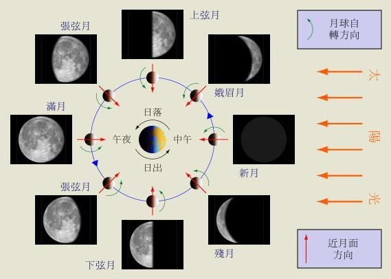 新月 快懂百科