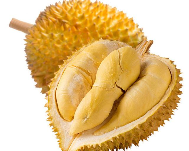 榴莲 快懂百科