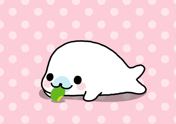 海豹宝宝 快懂百科