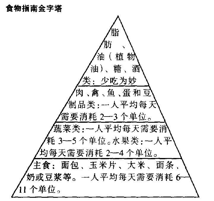 营养金字塔 快懂百科