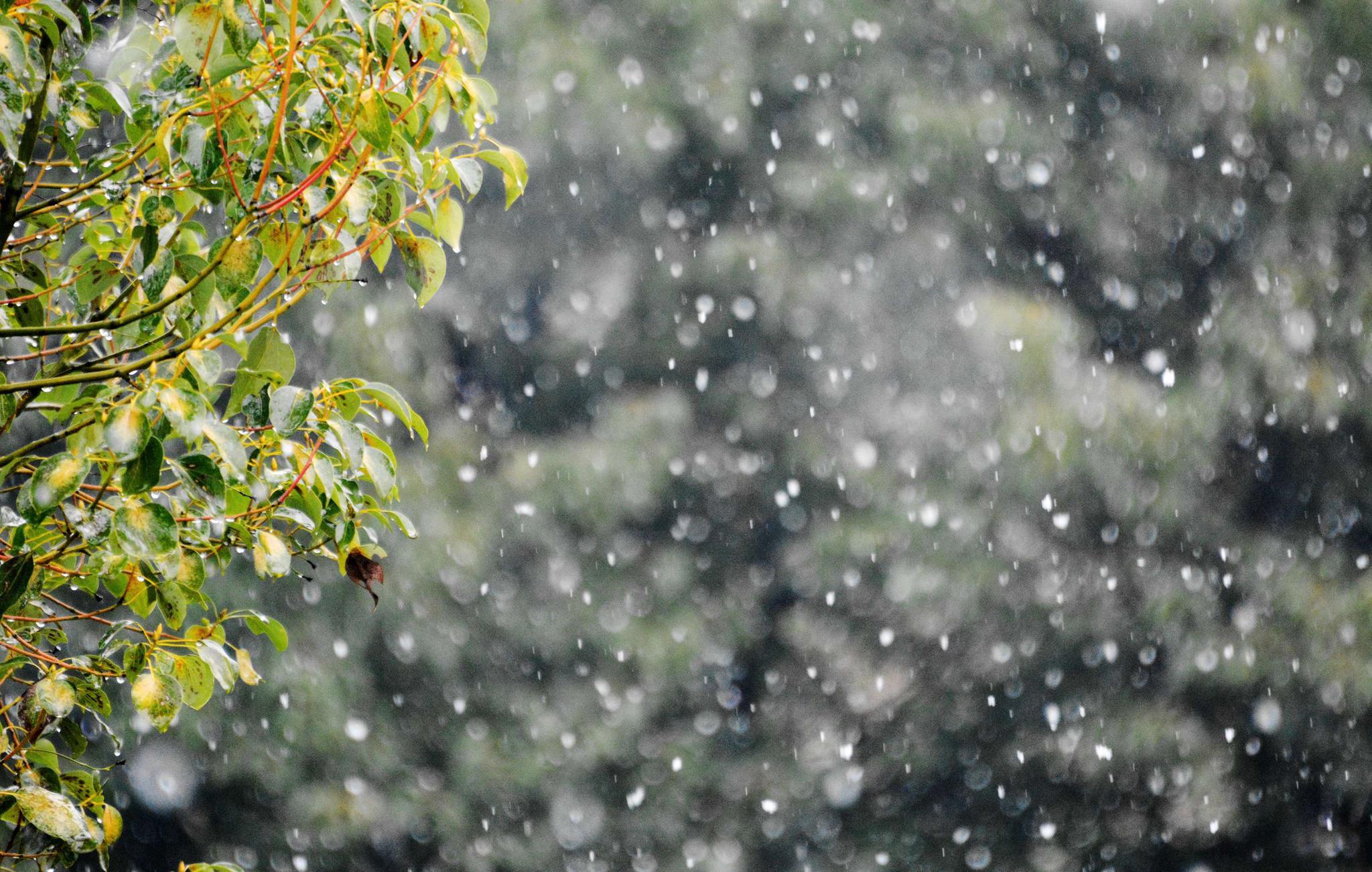 雨夹雪 快懂百科