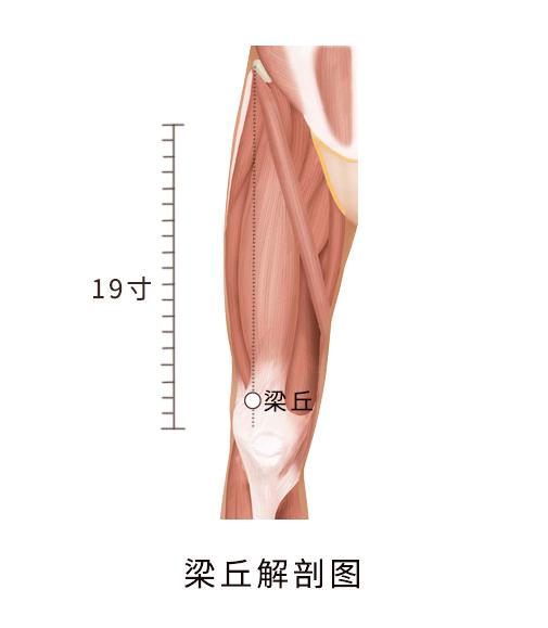 梁丘 快懂百科