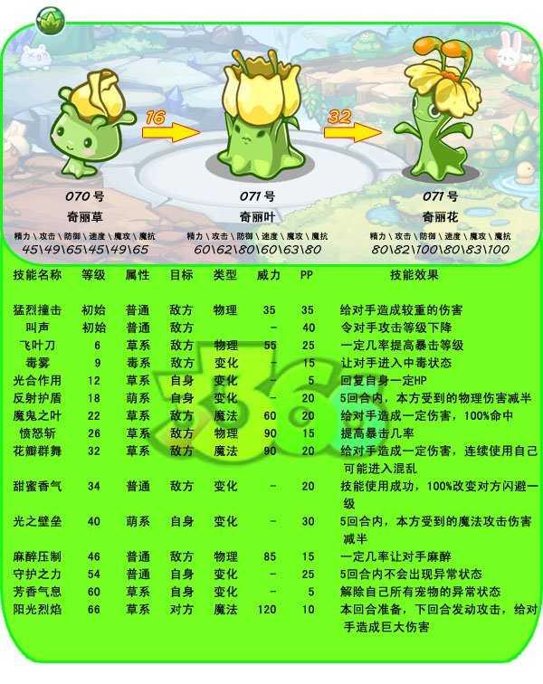 奇丽叶 快懂百科