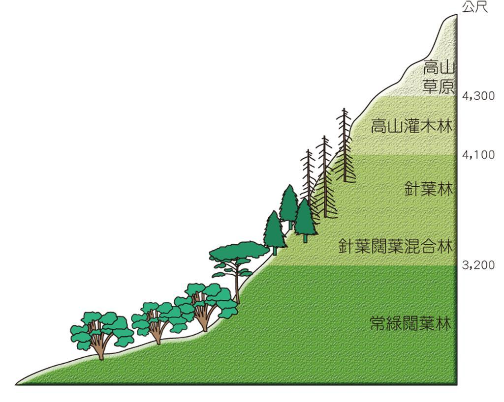第五节 秦岭北坡山地植被的垂直分布