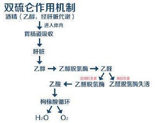 双硫仑样反应 - 快懂百科