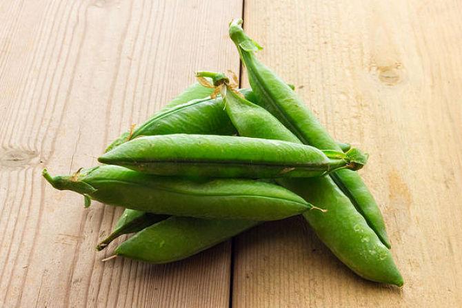 青豌豆 快懂百科