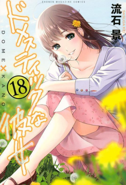 家有女友 快懂百科