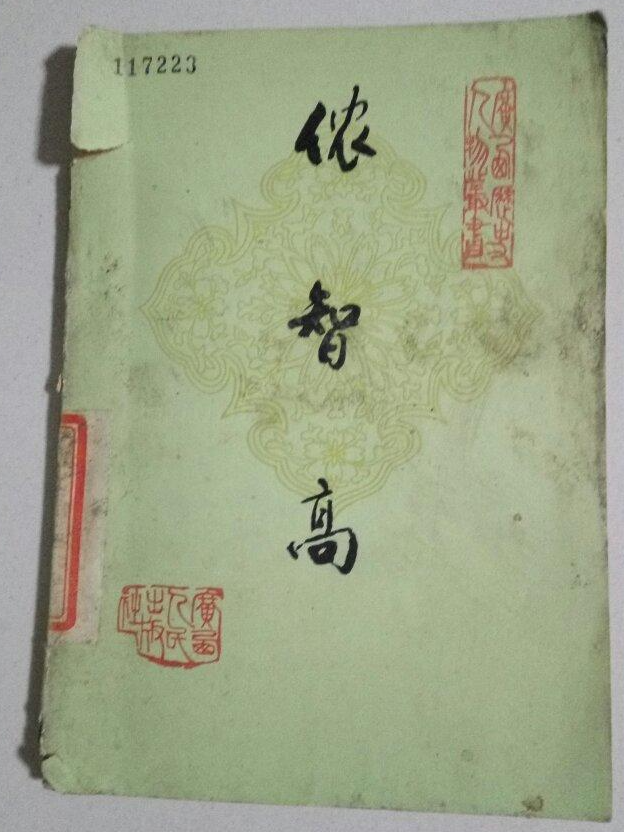 侬智高 快懂百科