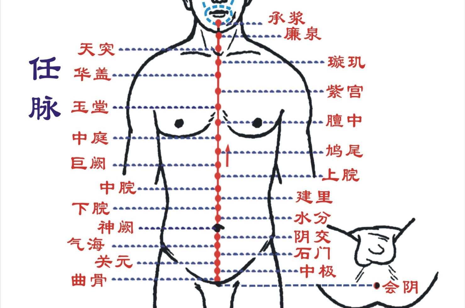 任脉