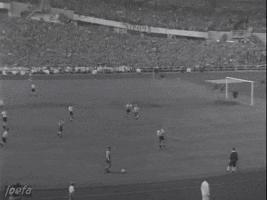 1958年瑞典世界杯