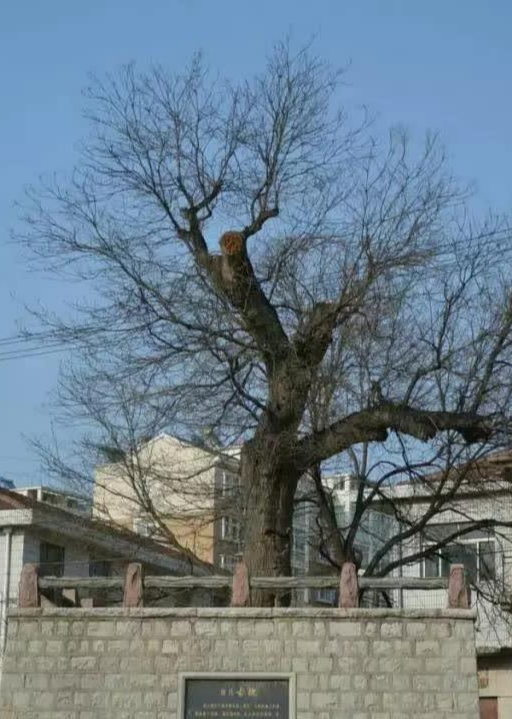 安上村 快懂百科
