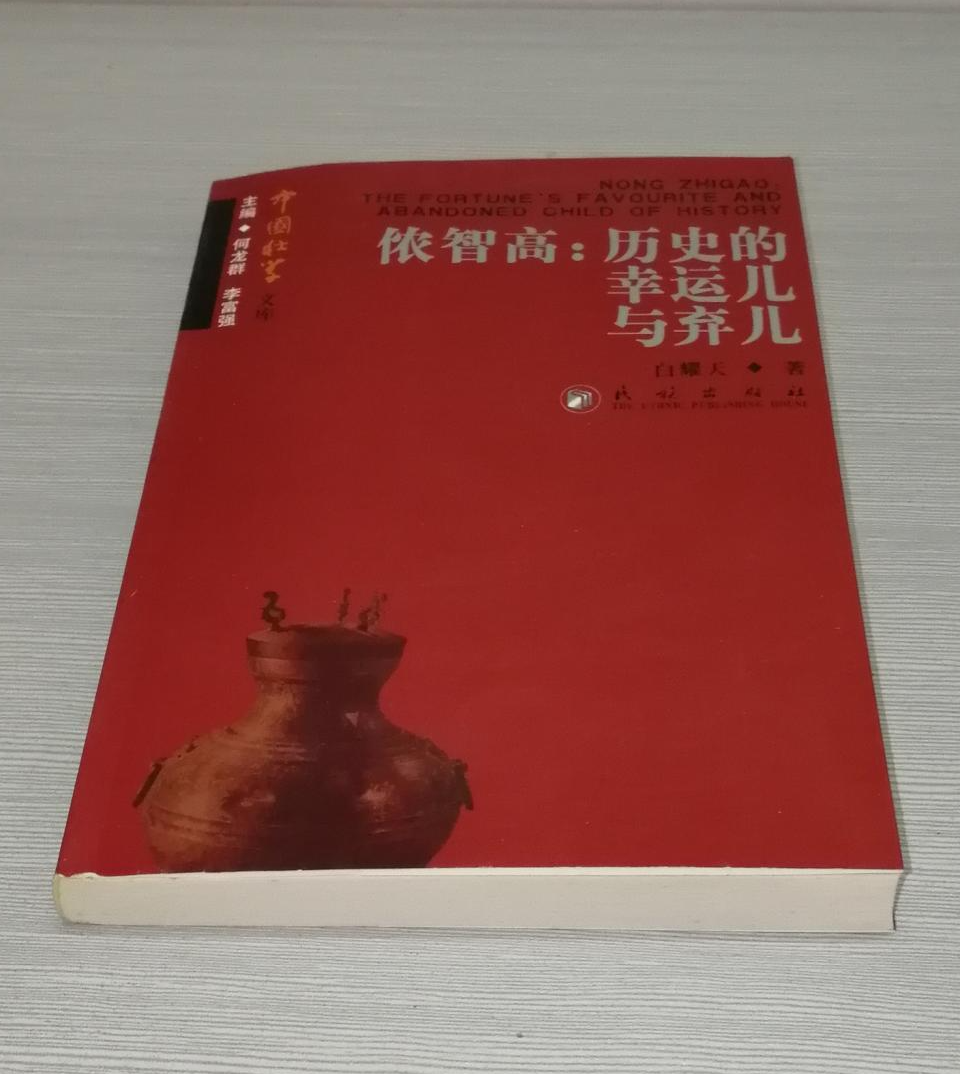 侬智高 快懂百科