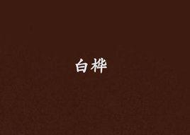 白桦派 快懂百科