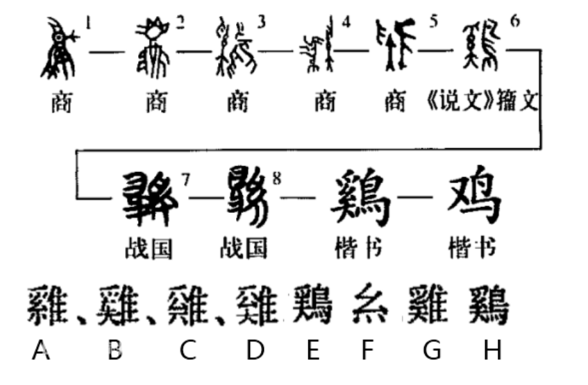 鸡 快懂百科