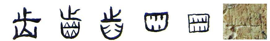 齿式 - 快懂百科