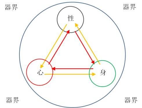 心身关系