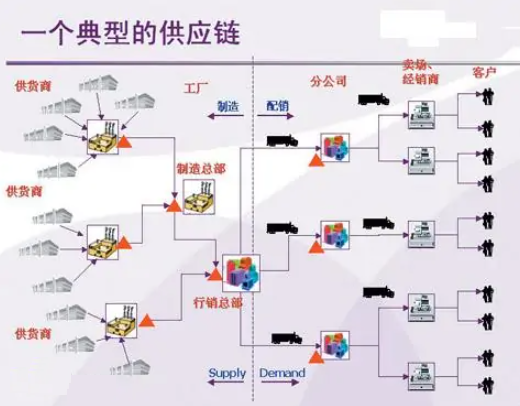 牛鞭效应 快懂百科