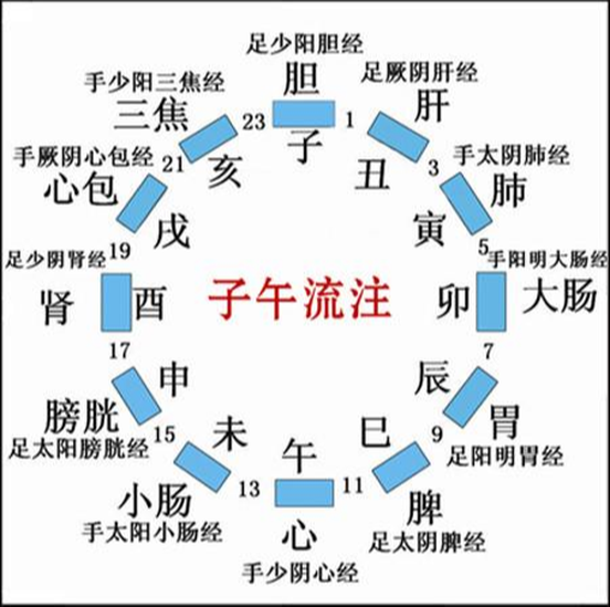 子午流注[针灸取穴的操作方法] - 抖音百科