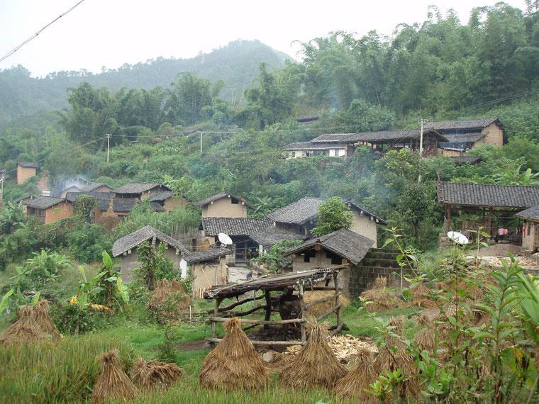 新庄村 快懂百科