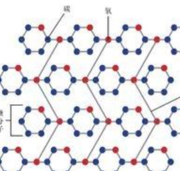 A 纤维素 快懂百科