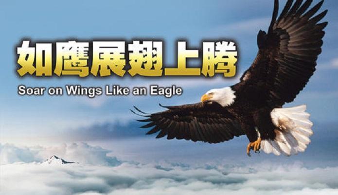 如鹰展翅上腾 快懂百科