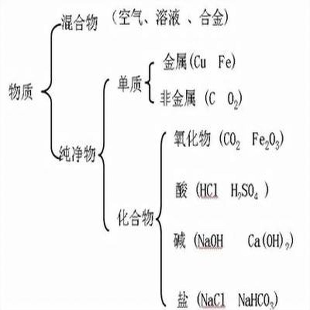化学物质树状分类法