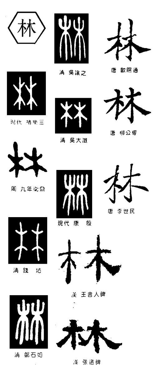 林 快懂百科